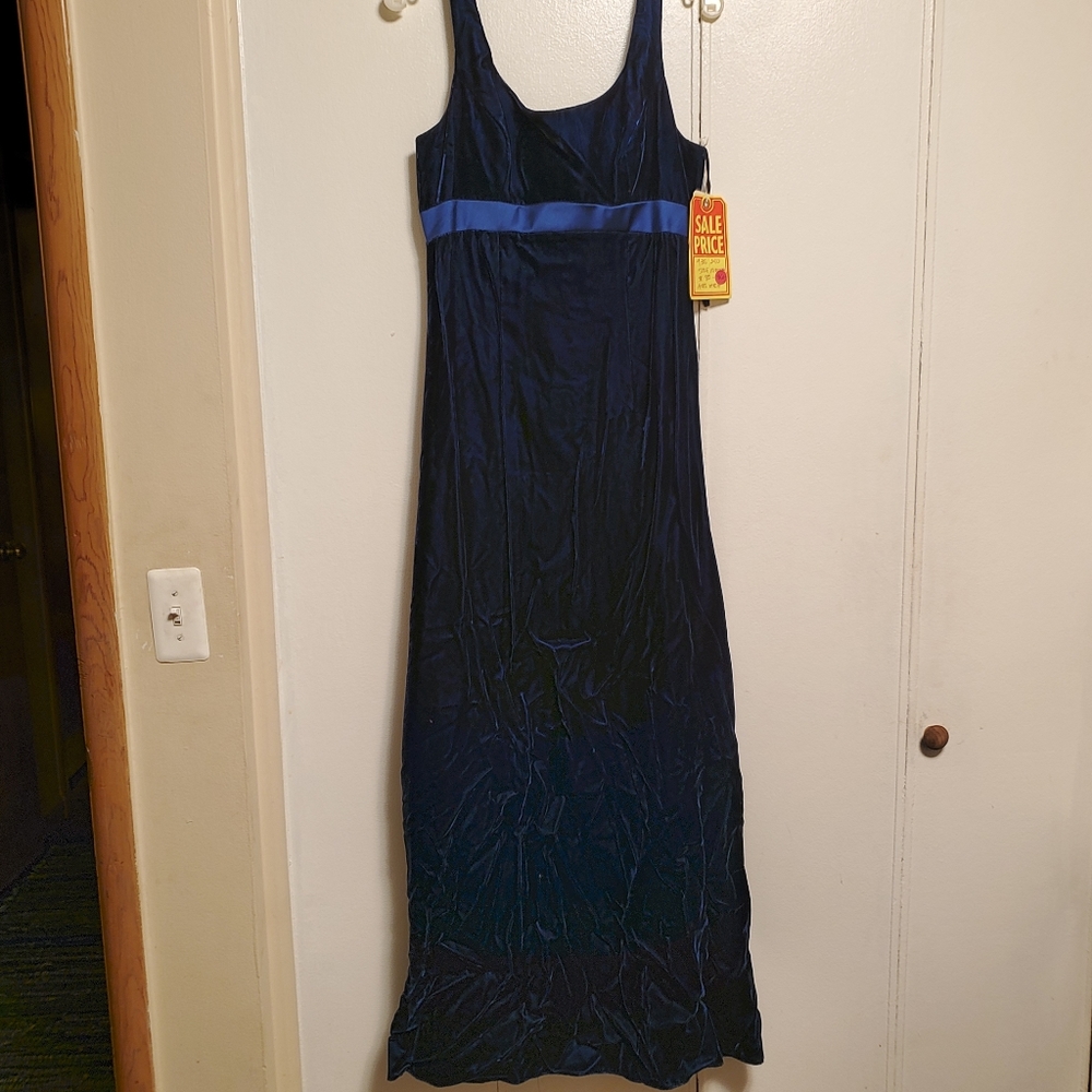 Never worn, salon sample,vintage velvet dress